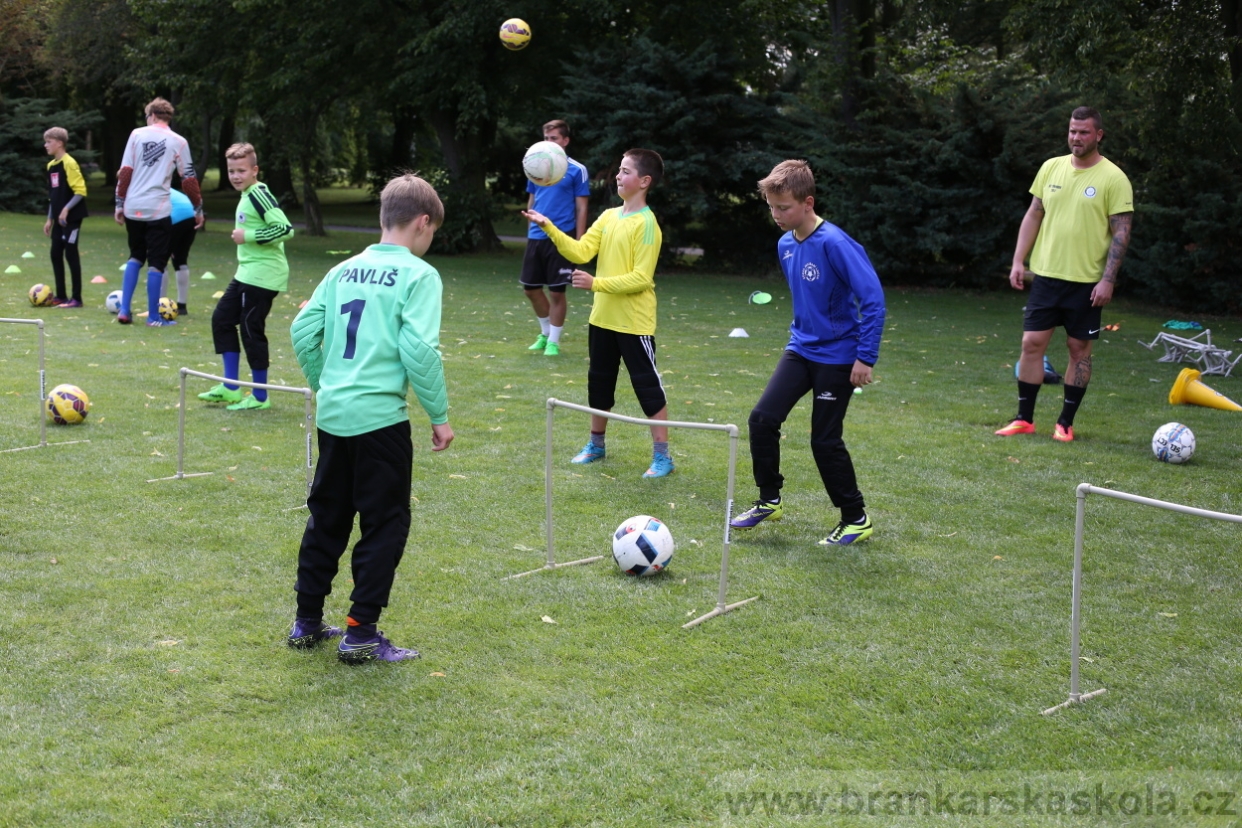 BFŠJCH - Léto 2017 - 28.7.2018