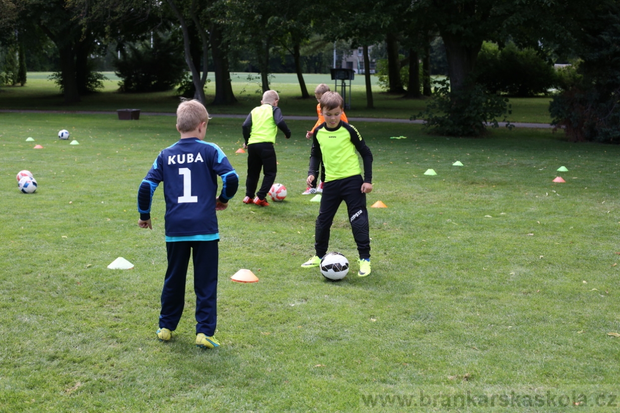 BFŠJCH - Léto 2017 - 28.7.2018
