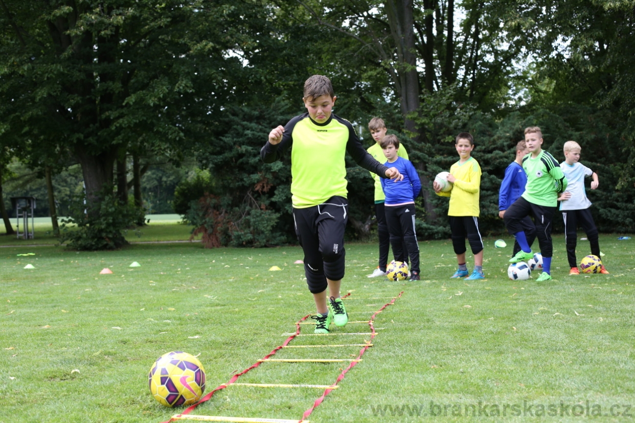 BFŠJCH - Léto 2017 - 28.7.2018