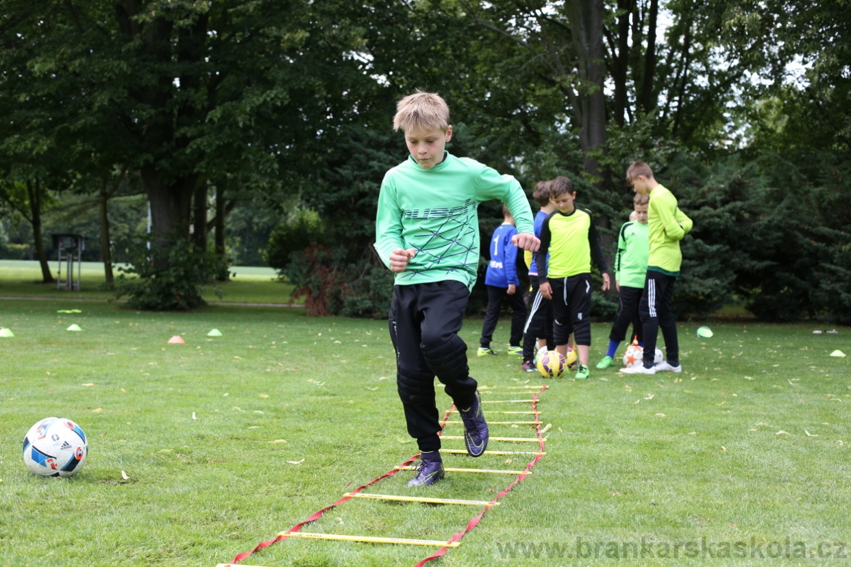 BFŠJCH - Léto 2017 - 28.7.2018