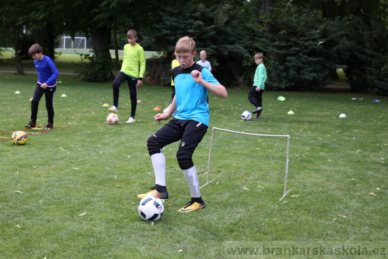 BFŠJCH - Léto 2017 - 28.7.2018