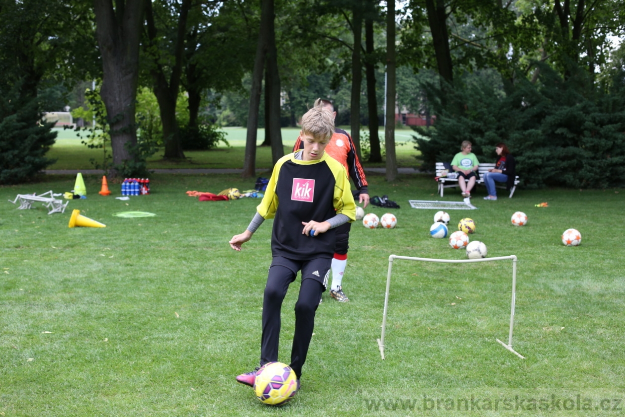 BFŠJCH - Léto 2017 - 28.7.2018