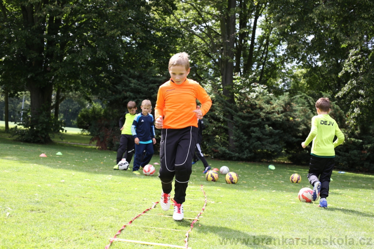 BFŠJCH - Léto 2017 - 28.7.2018