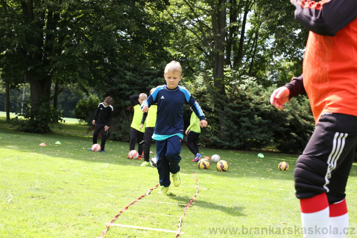 BFŠJCH - Léto 2017 - 28.7.2018