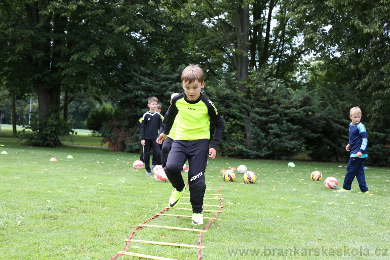 BFŠJCH - Léto 2017 - 28.7.2018