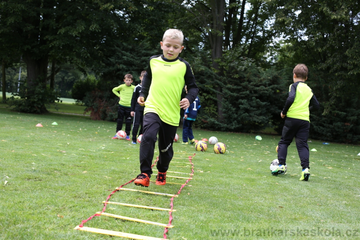 BFŠJCH - Léto 2017 - 28.7.2018