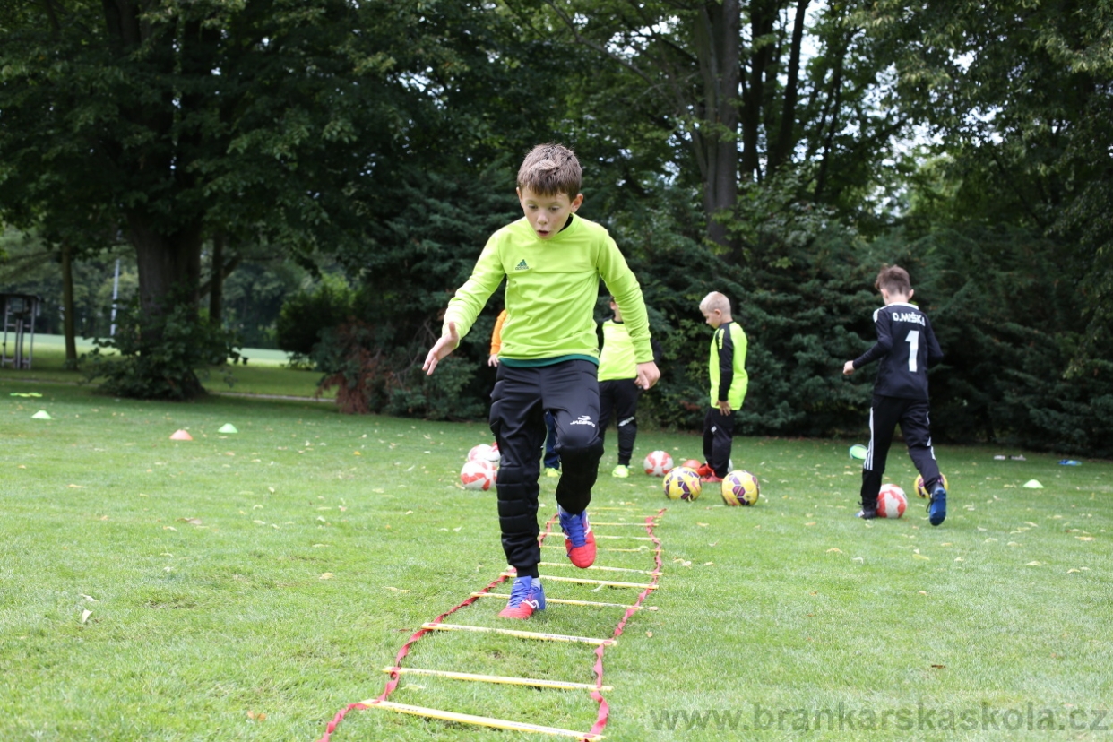 BFŠJCH - Léto 2017 - 28.7.2018