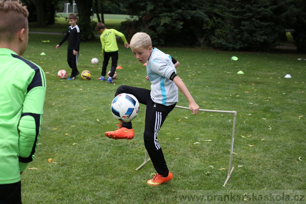 BFŠJCH - Léto 2017 - 28.7.2018