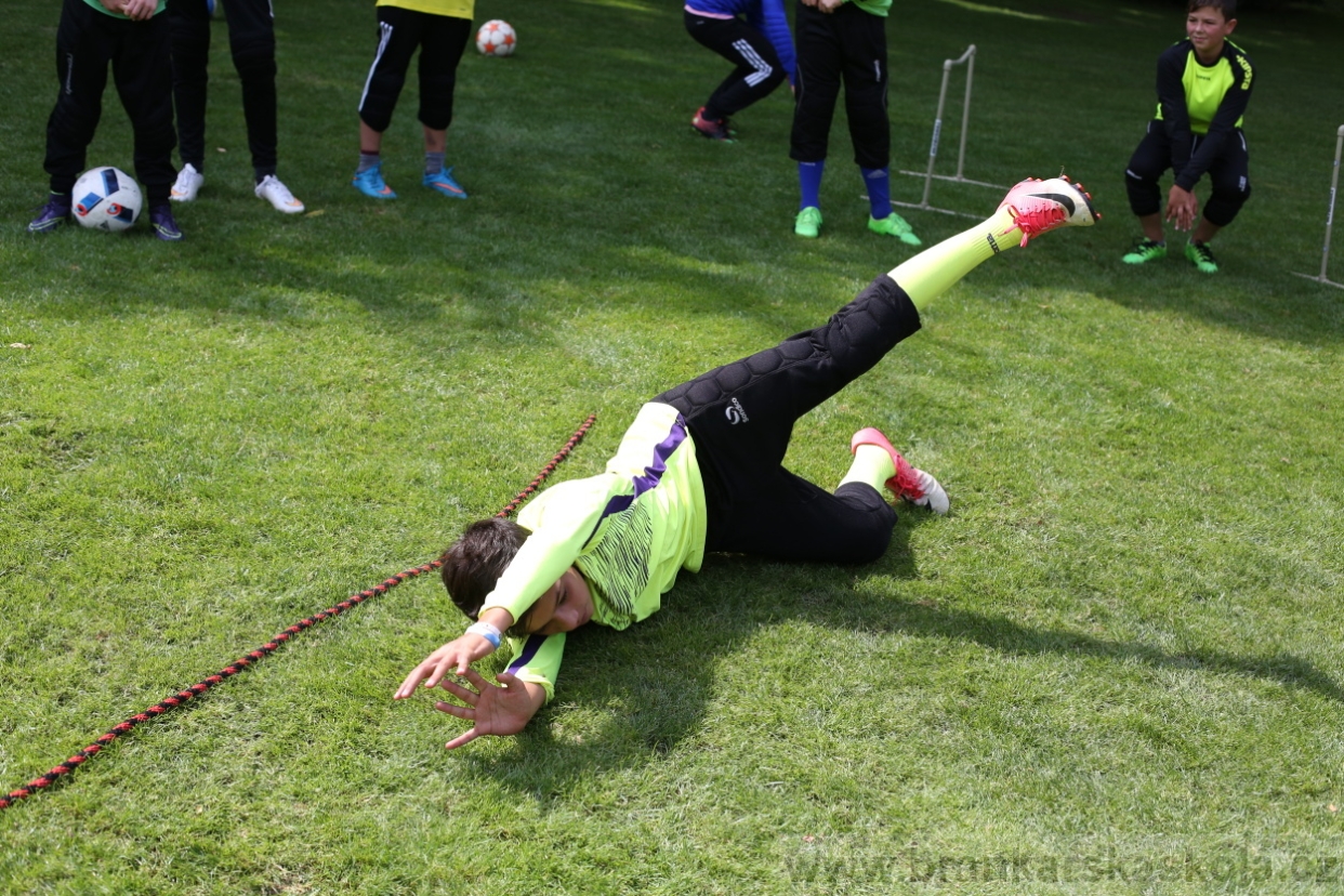 BFŠJCH - Léto 2017 - 28.7.2018