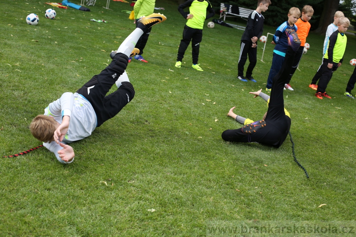 BFŠJCH - Léto 2017 - 28.7.2018