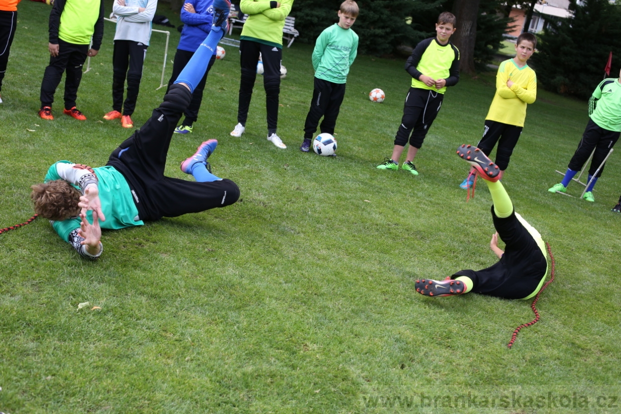 BFŠJCH - Léto 2017 - 28.7.2018