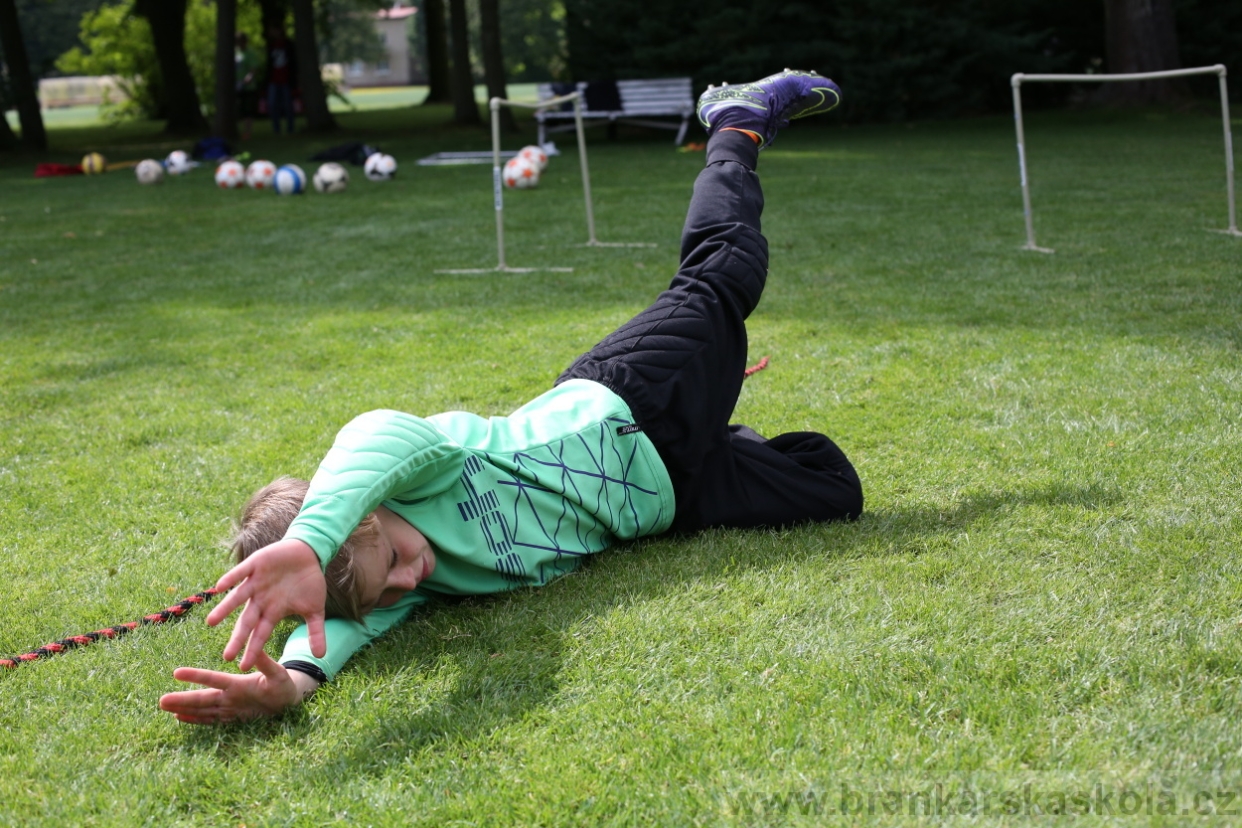 BFŠJCH - Léto 2017 - 28.7.2018