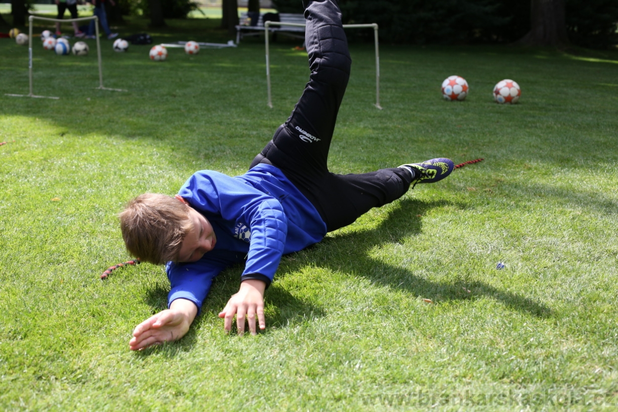 BFŠJCH - Léto 2017 - 28.7.2018