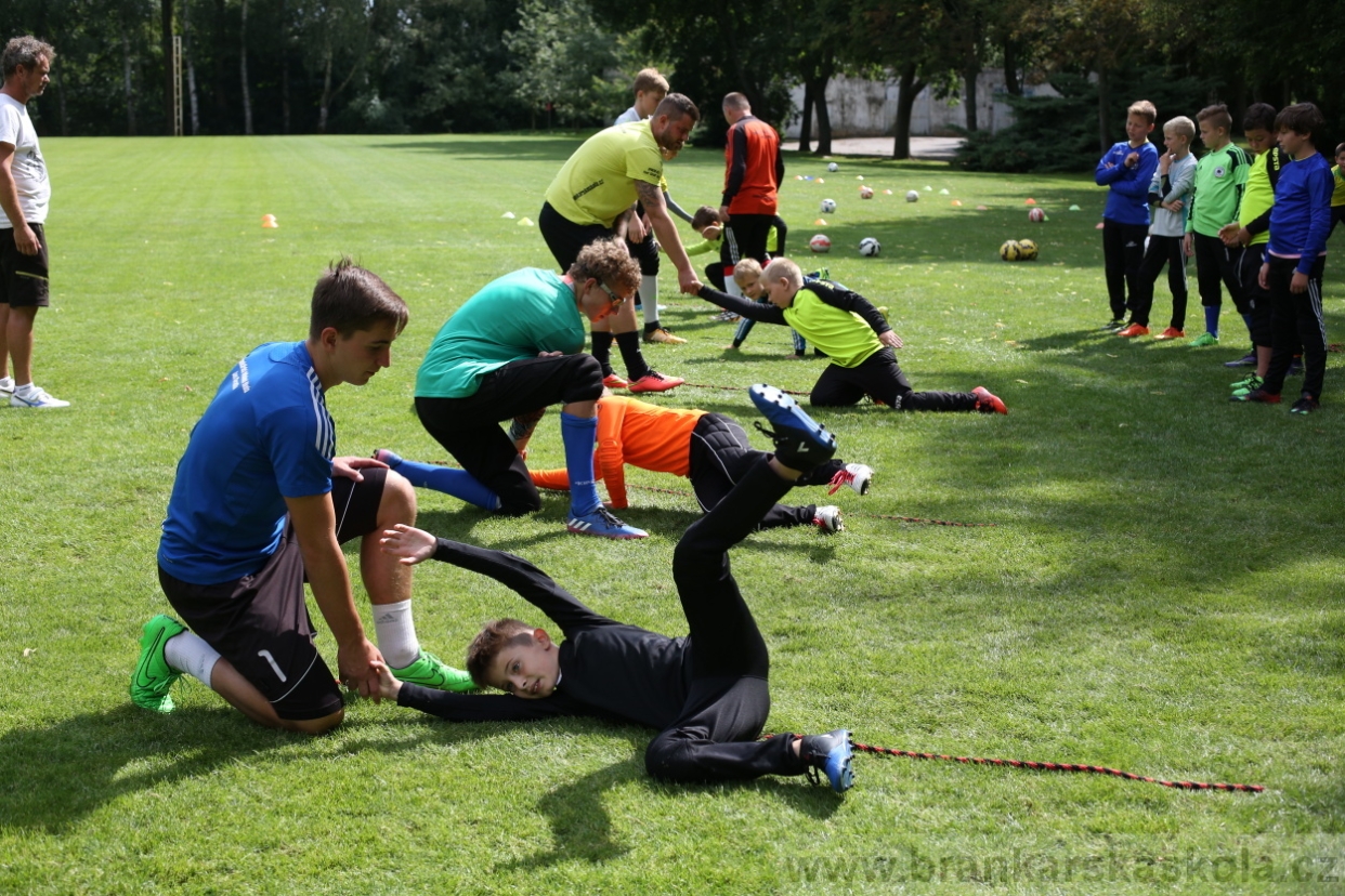 BFŠJCH - Léto 2017 - 28.7.2018