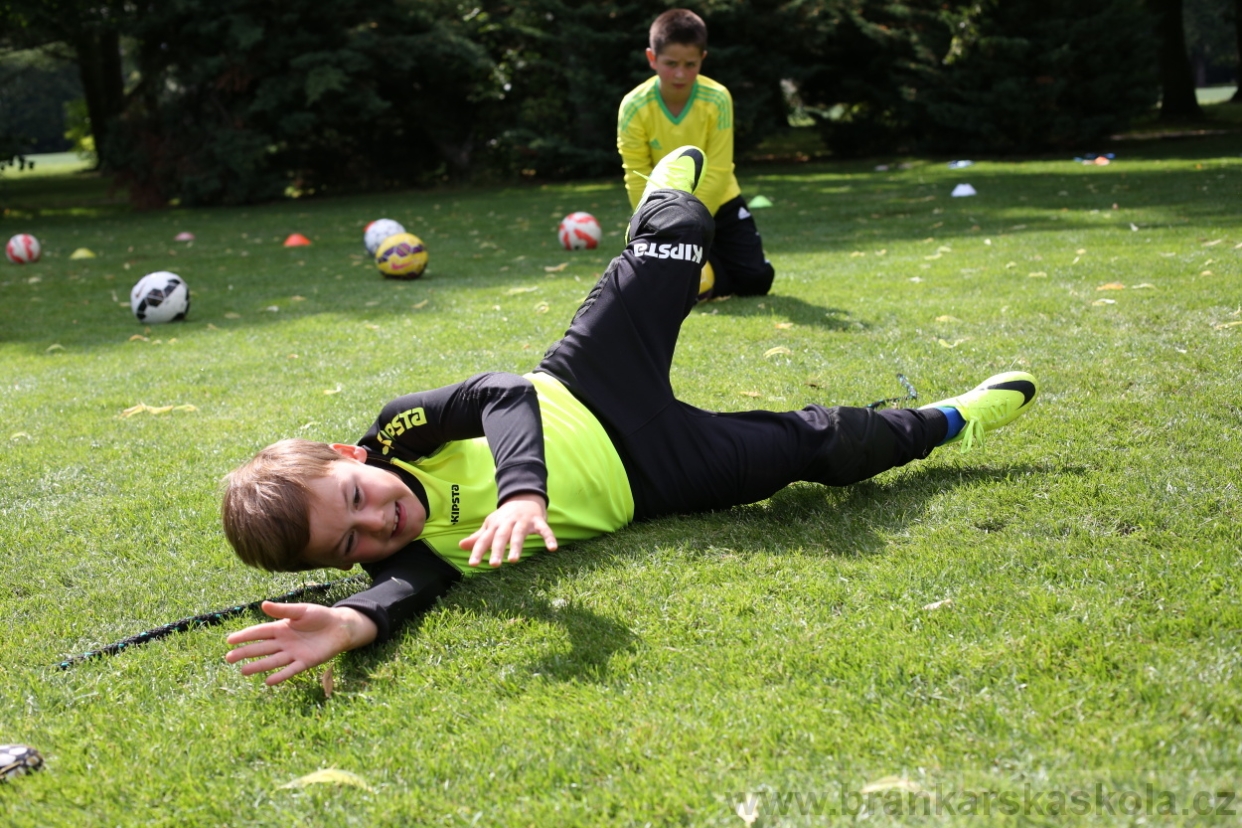 BFŠJCH - Léto 2017 - 28.7.2018