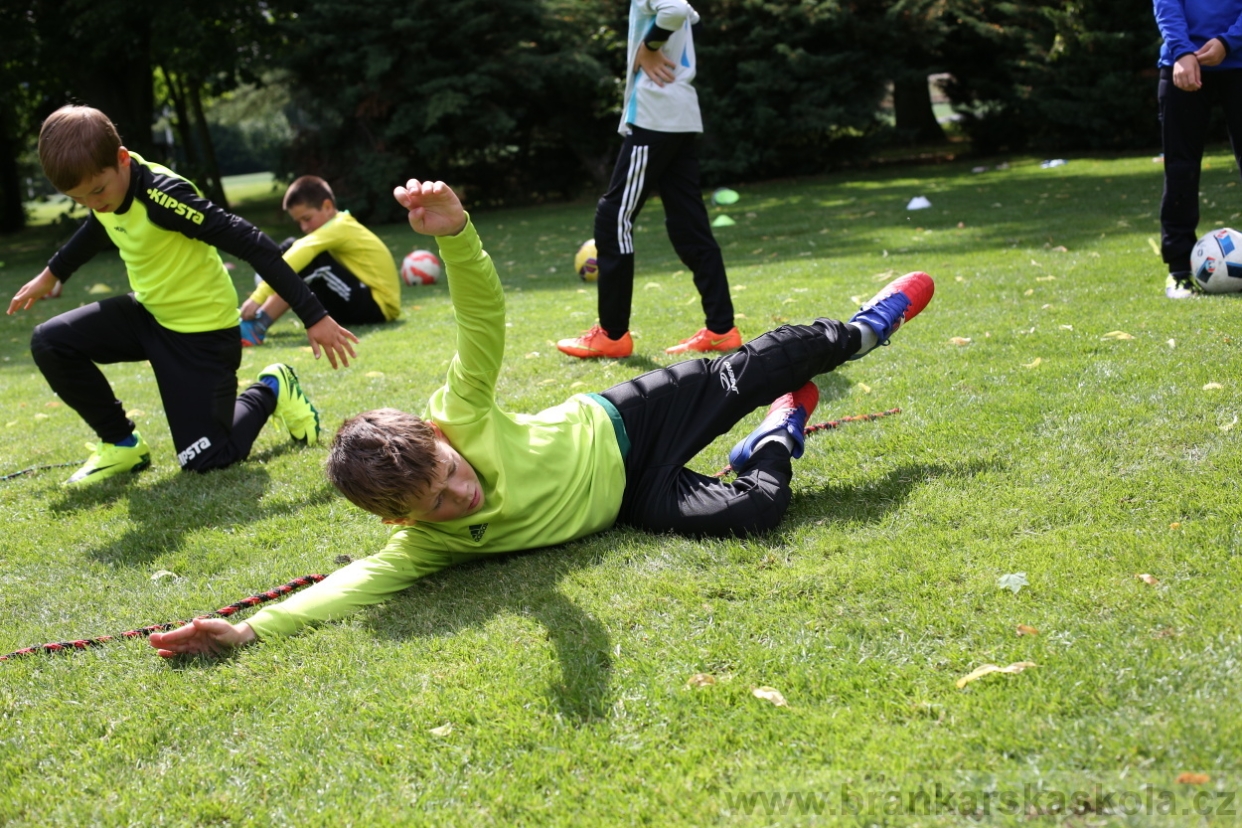 BFŠJCH - Léto 2017 - 28.7.2018