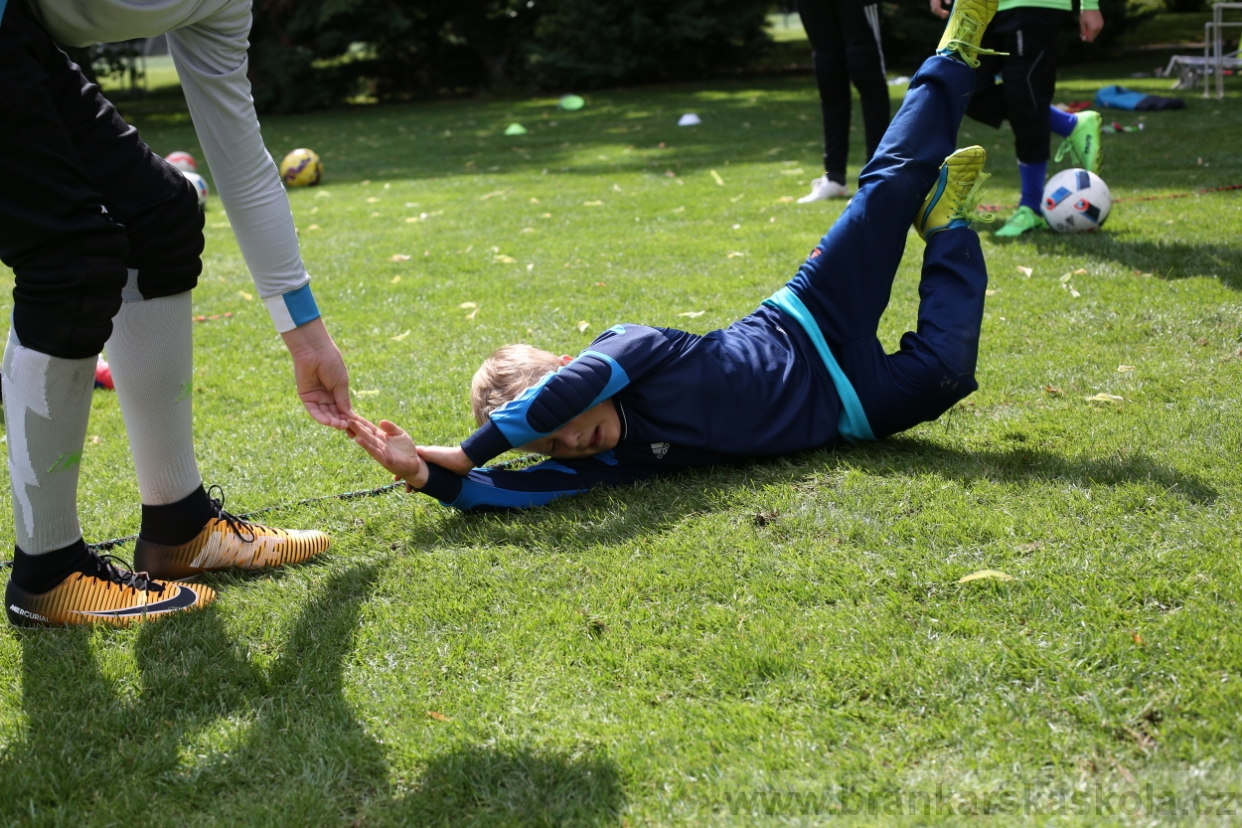 BFŠJCH - Léto 2017 - 28.7.2018