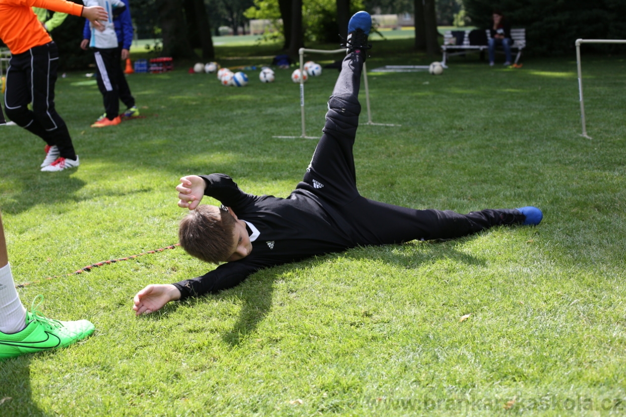 BFŠJCH - Léto 2017 - 28.7.2018