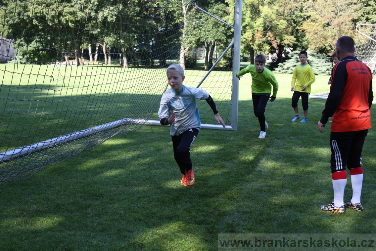 BFŠJCH - Léto 2017 - 29.7.2018