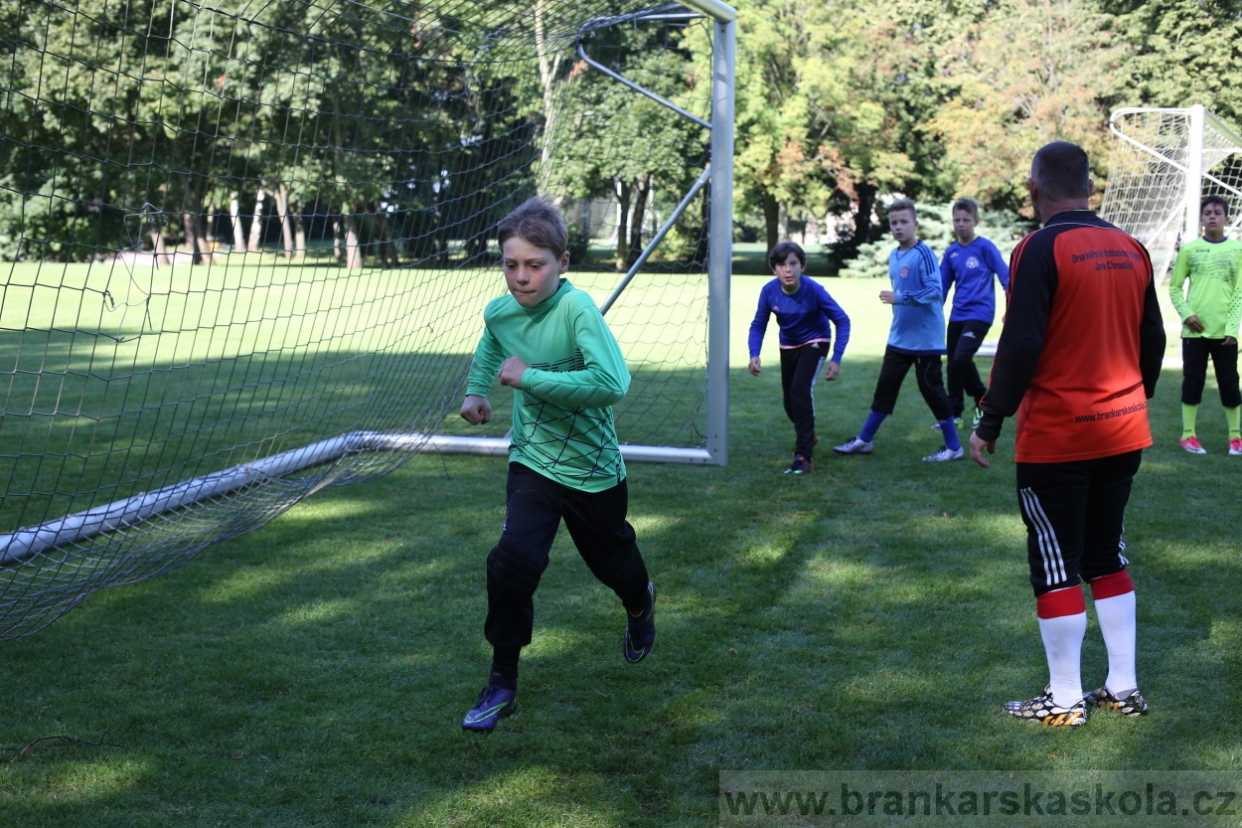 BFŠJCH - Léto 2017 - 29.7.2018