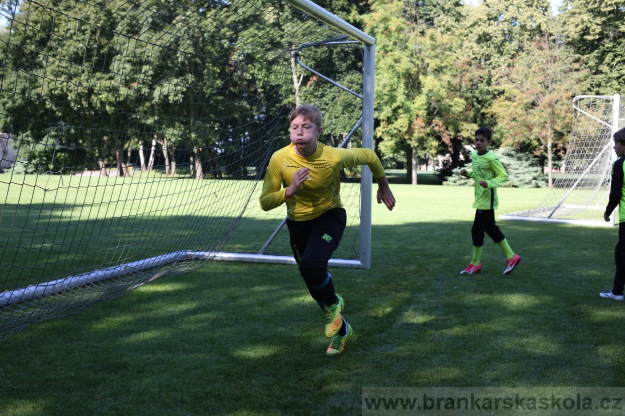 BFŠJCH - Léto 2017 - 29.7.2018