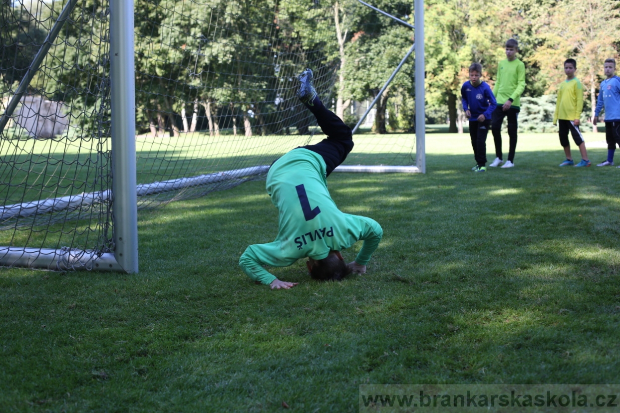 BFŠJCH - Léto 2017 - 29.7.2018