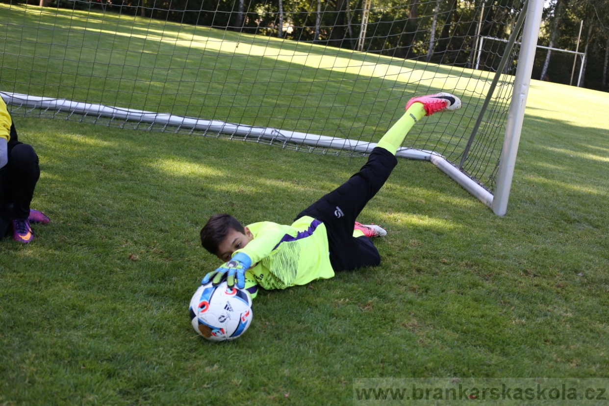 BFŠJCH - Léto 2017 - 29.7.2018