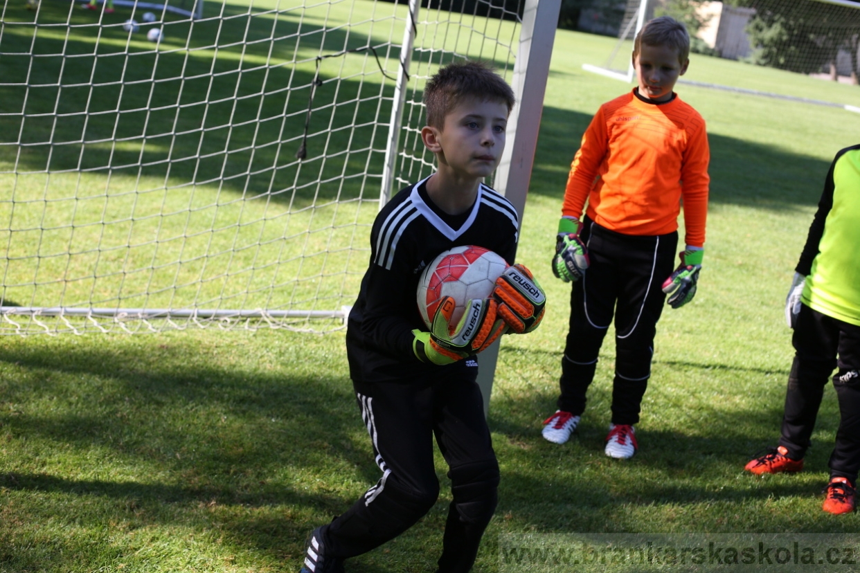 BFŠJCH - Léto 2017 - 29.7.2018