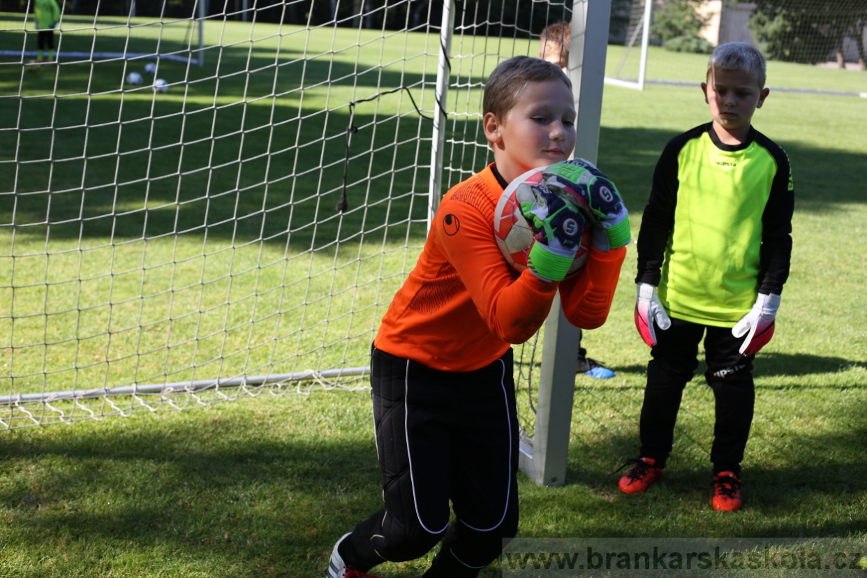 BFŠJCH - Léto 2017 - 29.7.2018