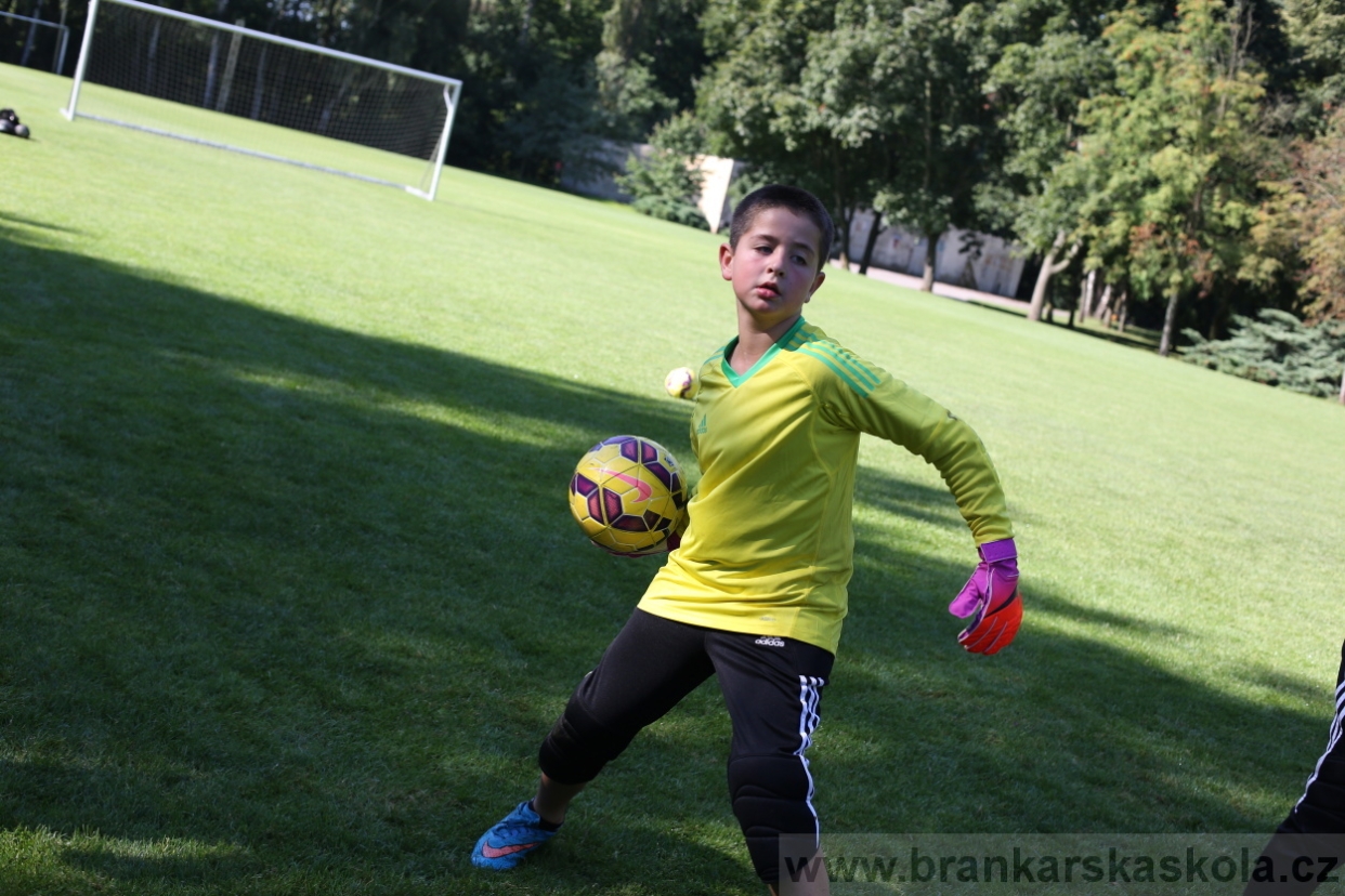 BFŠJCH - Léto 2017 - 29.7.2018