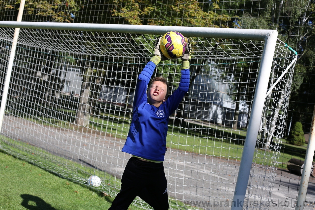 BFŠJCH - Léto 2017 - 29.7.2018