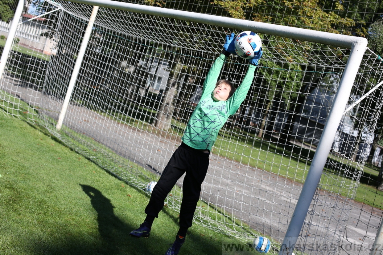 BFŠJCH - Léto 2017 - 29.7.2018