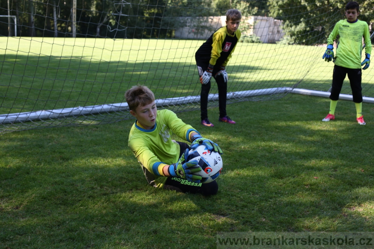 BFŠJCH - Léto 2017 - 29.7.2018