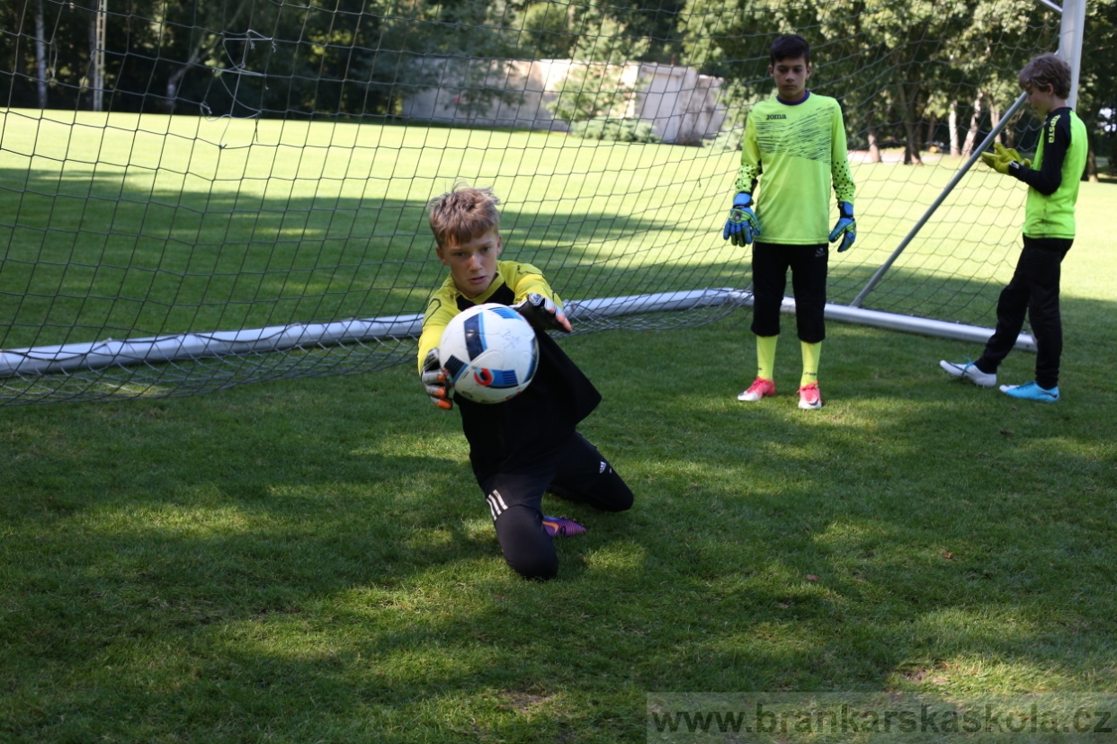 BFŠJCH - Léto 2017 - 29.7.2018