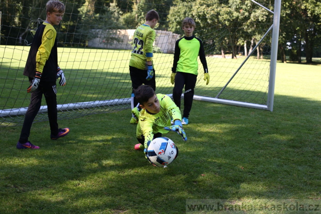 BFŠJCH - Léto 2017 - 29.7.2018