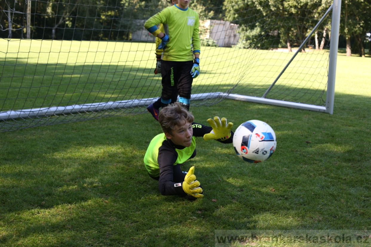 BFŠJCH - Léto 2017 - 29.7.2018