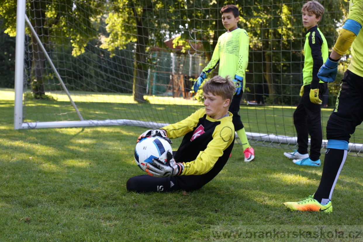 BFŠJCH - Léto 2017 - 29.7.2018