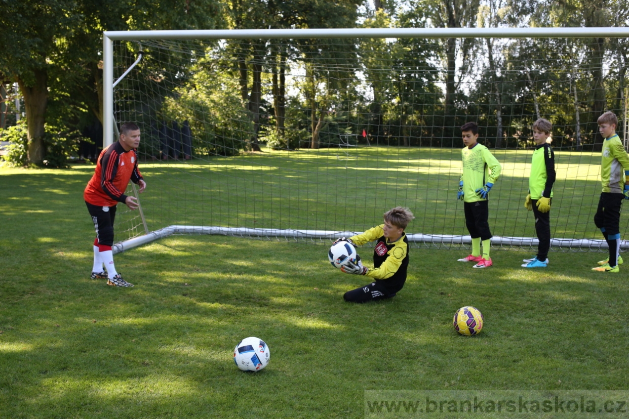 BFŠJCH - Léto 2017 - 29.7.2018