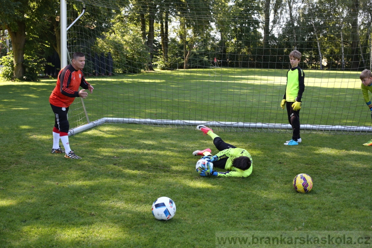 BFŠJCH - Léto 2017 - 29.7.2018