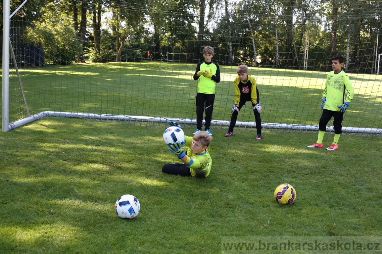 BFŠJCH - Léto 2017 - 29.7.2018