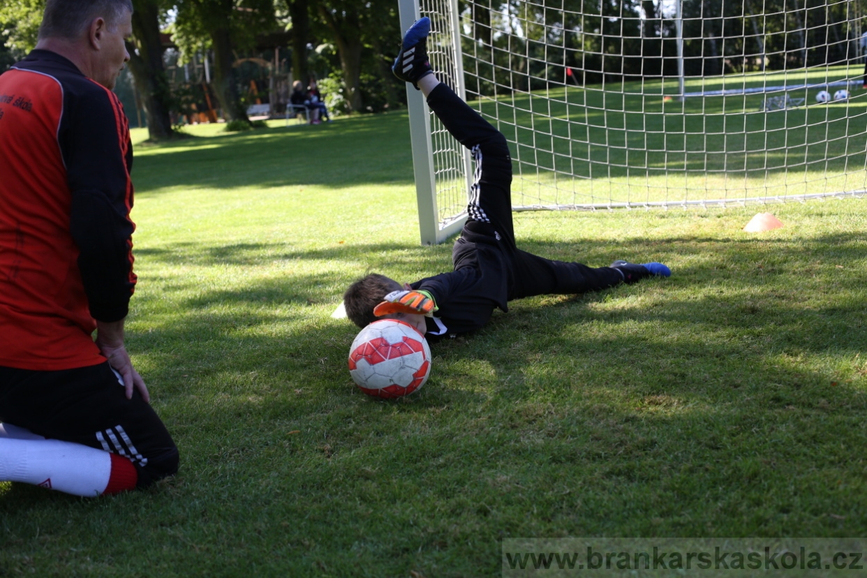 BFŠJCH - Léto 2017 - 29.7.2018