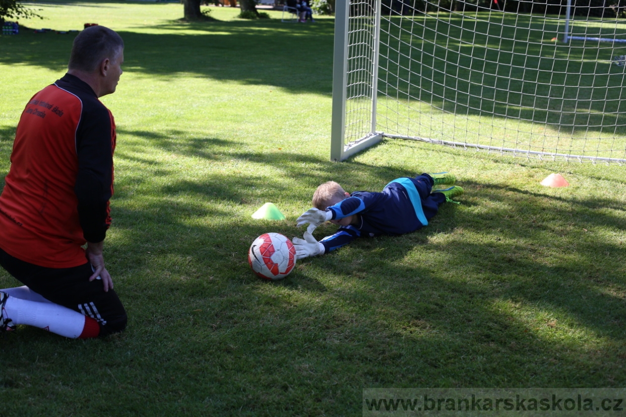 BFŠJCH - Léto 2017 - 29.7.2018