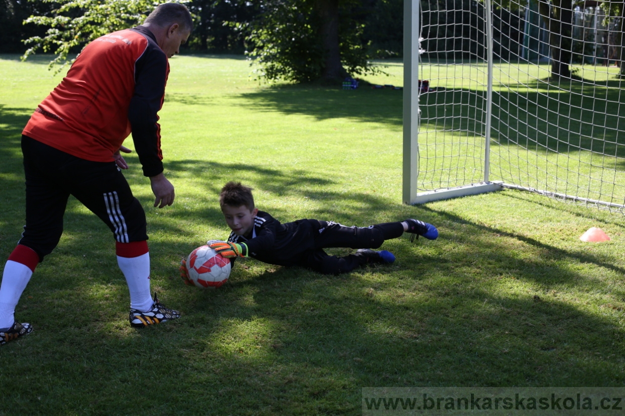 BFŠJCH - Léto 2017 - 29.7.2018