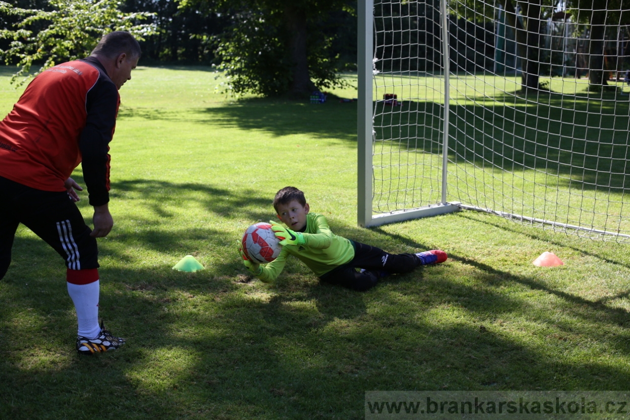 BFŠJCH - Léto 2017 - 29.7.2018