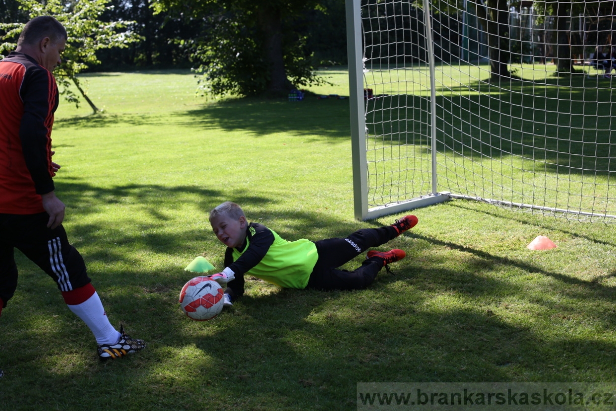 BFŠJCH - Léto 2017 - 29.7.2018