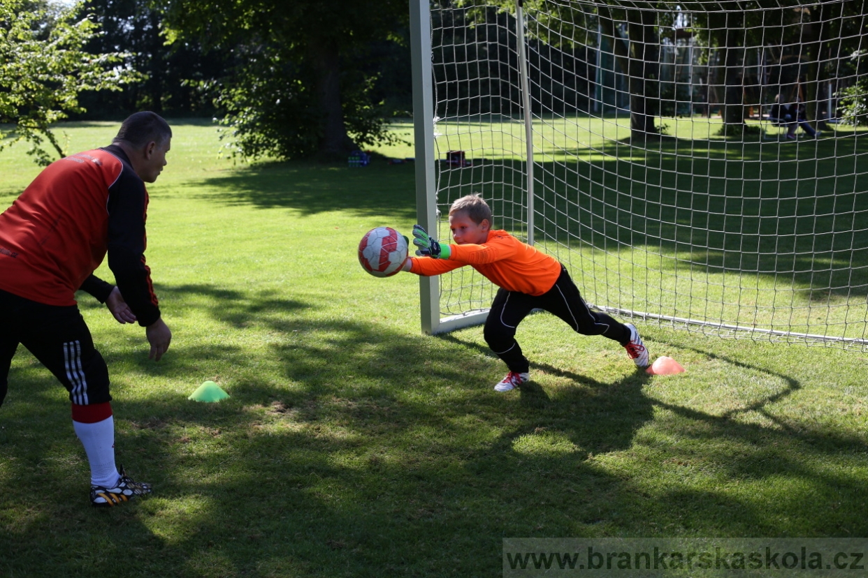 BFŠJCH - Léto 2017 - 29.7.2018