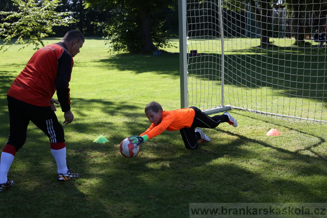 BFŠJCH - Léto 2017 - 29.7.2018