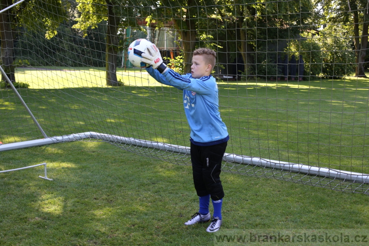 BFŠJCH - Léto 2017 - 29.7.2018