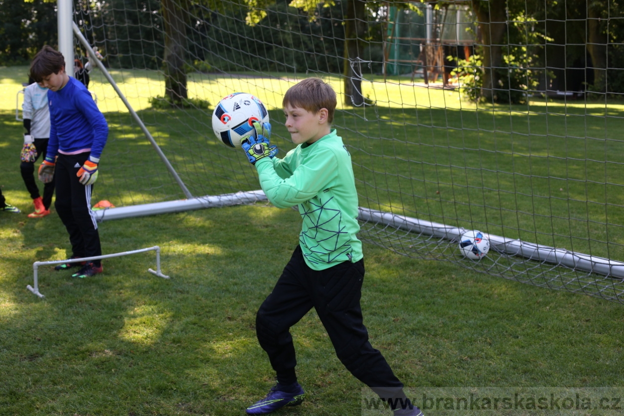 BFŠJCH - Léto 2017 - 29.7.2018