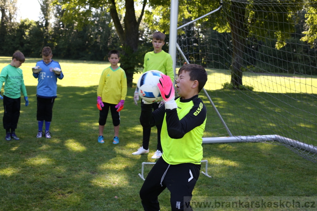 BFŠJCH - Léto 2017 - 29.7.2018